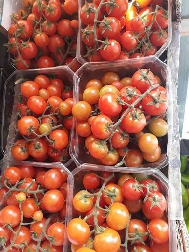 بندوره شيري / علبه