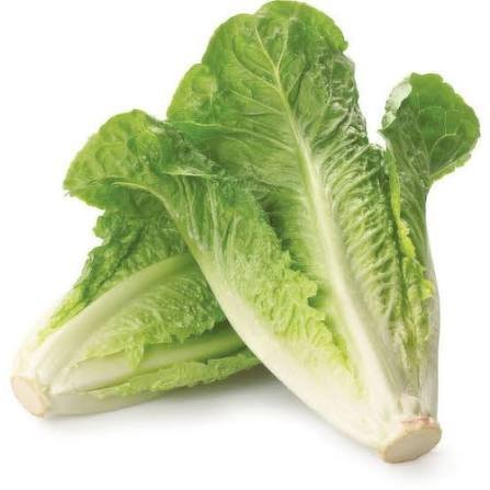 خس