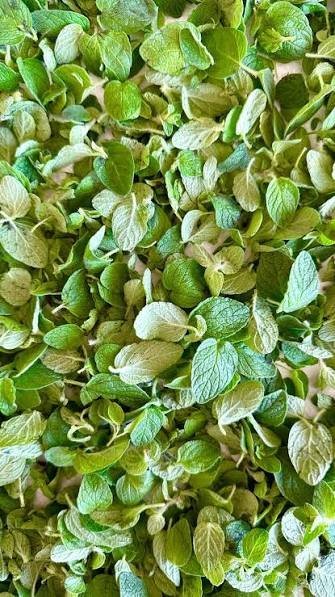زعتر اخضر ورق  مفروط