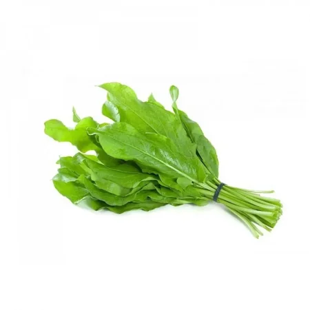 جرجير