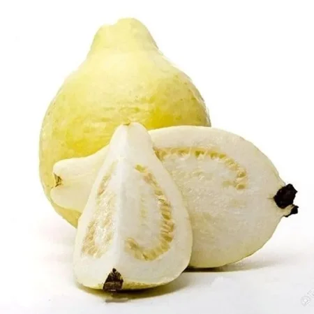 جوافه
