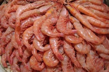 جمبري البايض 500 غم